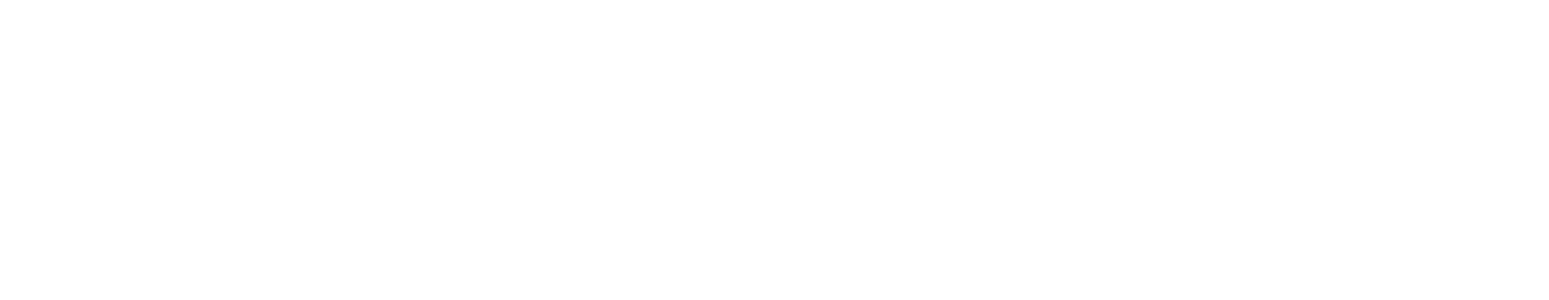 logo Skkills white